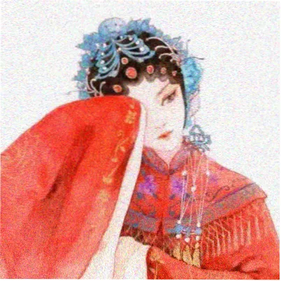 访客山雀的头像